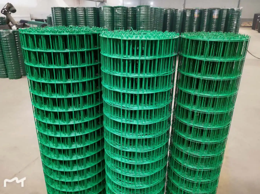 泰宁荷兰网